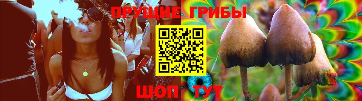 Псилоцибиновые грибы MAGIC MUSHROOMS  купить   Камышлов  Вход с VPN  Псилоцибиновые грибы Psilocybe 